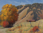 C L's Cabin