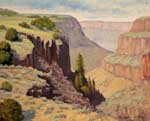 Canyon of the Rio Hondo