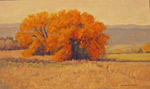 Fall Glory