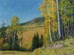 Kebler Pass