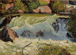 Creek Study