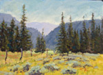 Across The Meadow