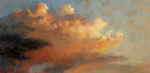 Evening Glory