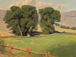 Gunnison Cuntry