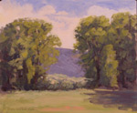 Un-Named Field Study