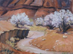 Fisher Wash